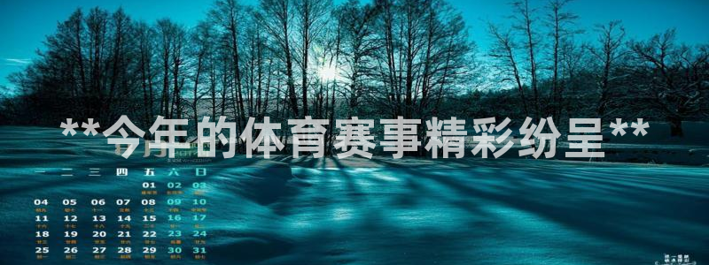 星欧娱乐公司