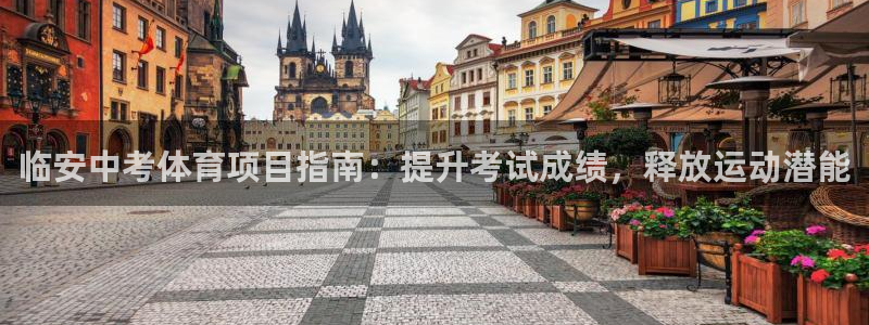星欧娱乐挂机教程视频