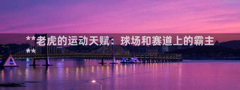 星欧娱乐彩票软件下载
