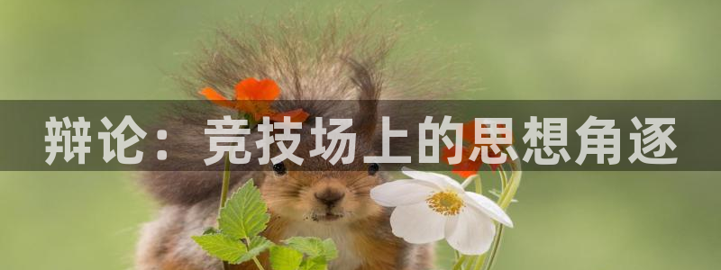 星欧娱乐最建议买的三个产品有哪些内容