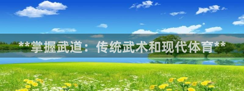 星欧娱乐挂机教程下载