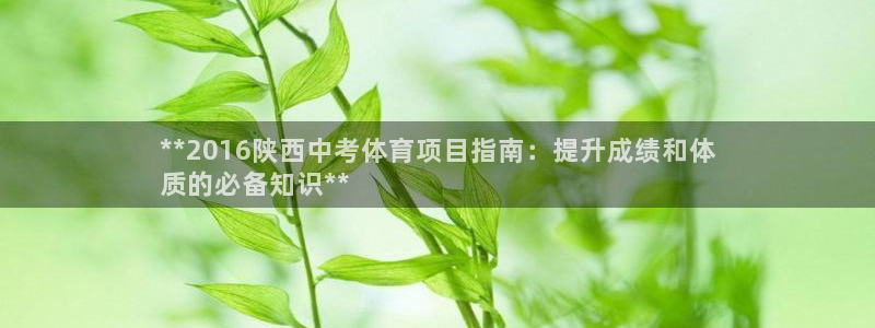 星欧娱乐退款电话人工服务