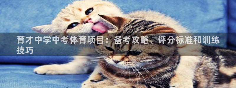 星欧娱乐是正规平台吗知乎