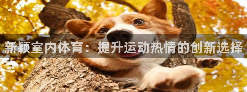 星欧娱乐官网首页