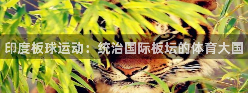 星欧娱乐最建议买的三个产品有哪些