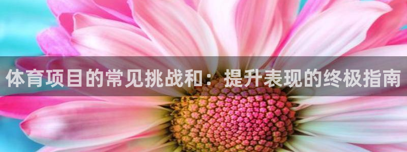 星澳娱乐公司怎么样