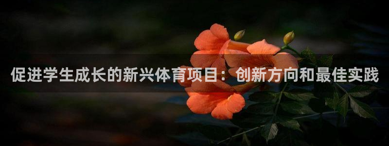 星欧娱乐扣款时间查询方法是什么