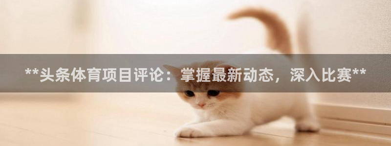 星奥娱乐旗下艺人