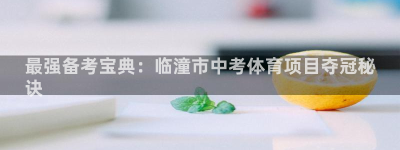 星欧娱乐属于什么档次的软件公司