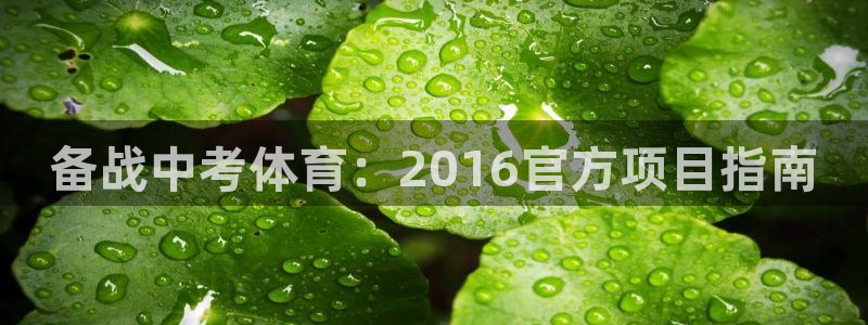 星欧娱乐最建议买的三个产品是什么呢
