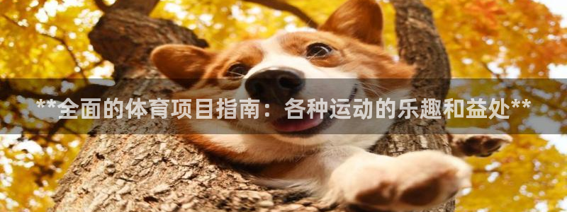 星欧娱乐联最新功能介绍