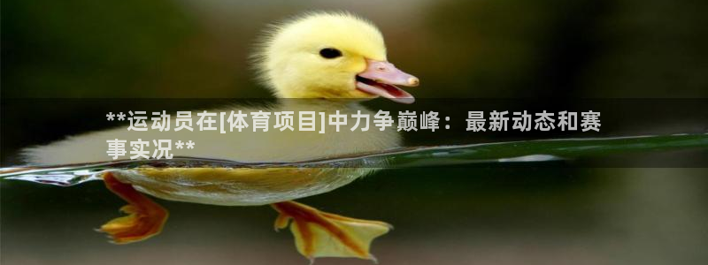 江苏星奥娱乐有限公司出过哪些艺人