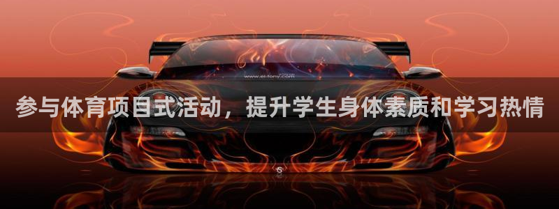 星欧娱乐属于什么档次的软件公司