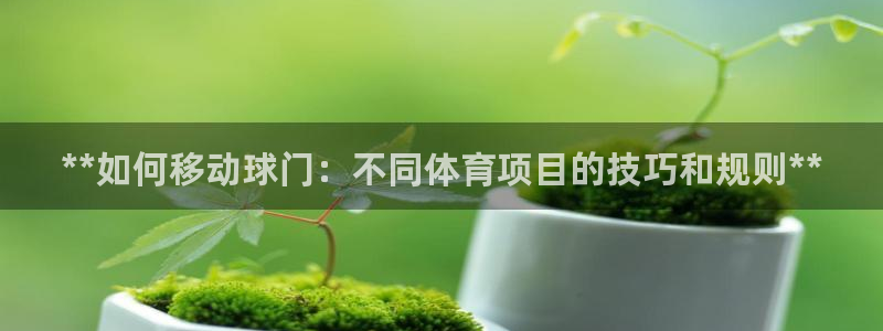 星欧娱乐扣款流程详解图高清