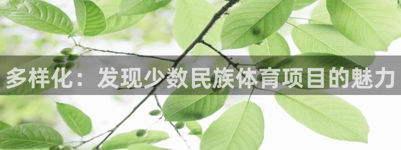 星欧娱乐公司创始人背景故事介绍
