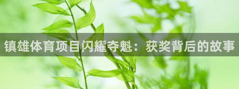 江苏星奥娱乐有限公司怎么样