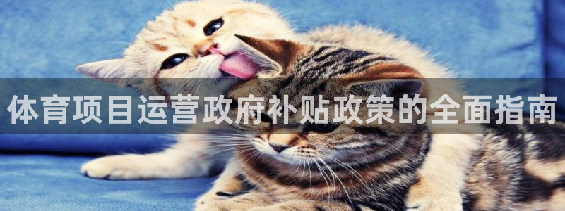 星奥娱乐艺人
