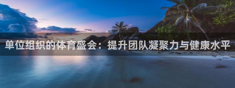 江苏星奥娱乐有限公司