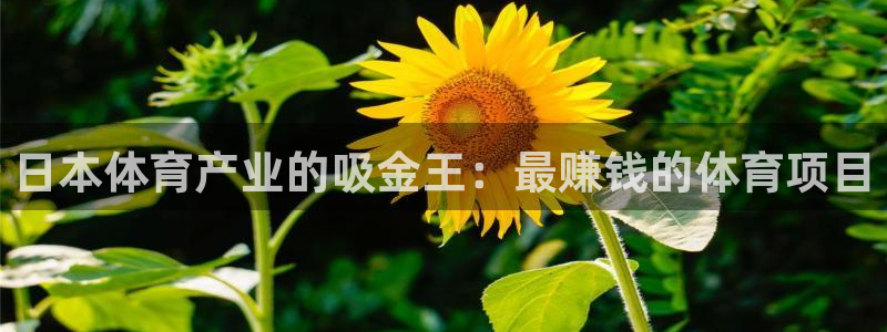 星欧娱乐公司地址
