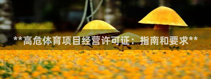 星欧娱乐扣款流程详解视频