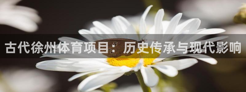 星欧娱乐彩票软件下载官网