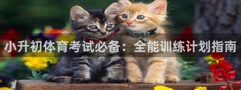 欧亿测速娱乐