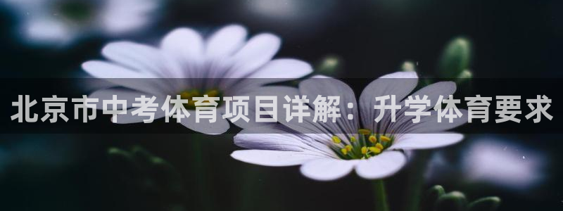 星欧娱乐游戏中心官网登录