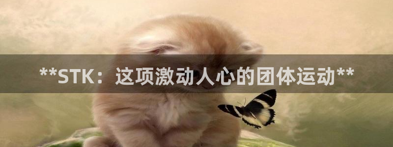 星欧娱乐彩票软件下载