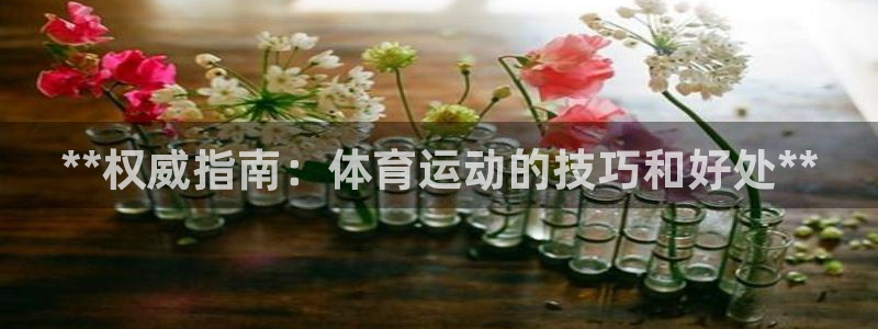 传奇星娱乐