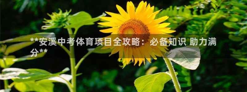 星欧娱乐联最新新闻