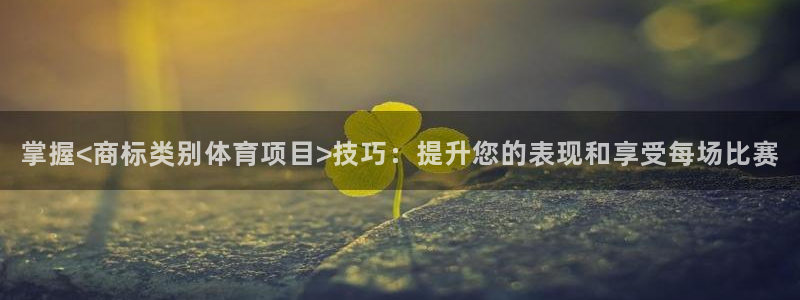 星欧娱乐的官方版本更新内容是什么