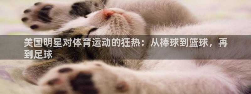 星澳娱乐公司怎么样