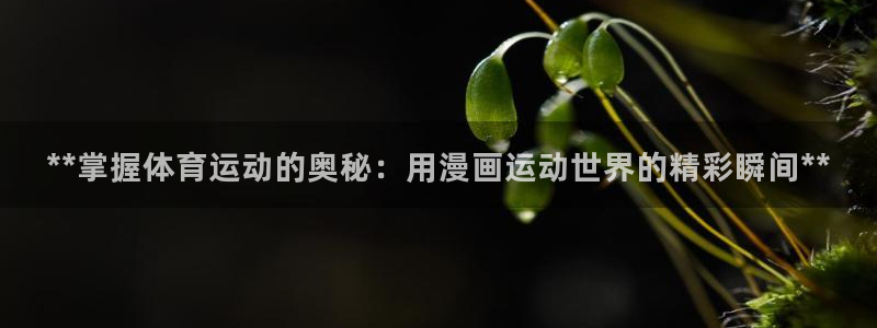 星欧娱乐彩票软件下载