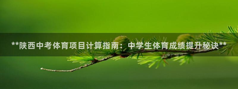 星娱乐是谁的公司