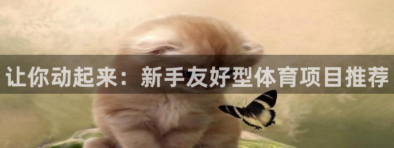 江苏星奥娱乐有限公司怎么样