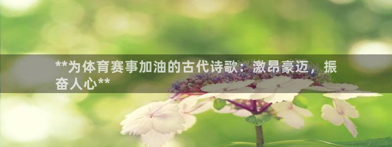 星欧娱乐官方客服联系方式