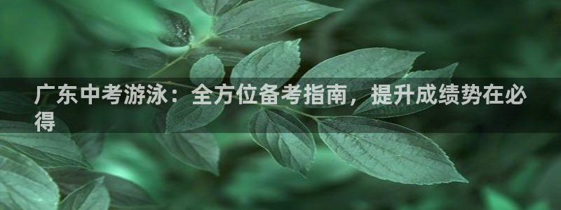 星欧娱乐平台怎么样