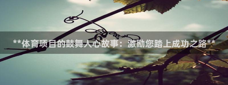 星欧娱乐联游戏评测