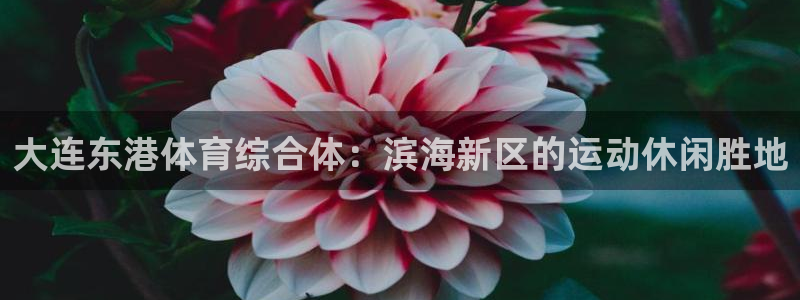 星游娱乐1官网下载
