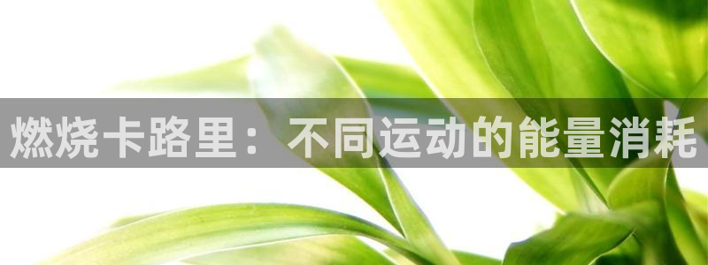 星欧娱乐平台方7O777
