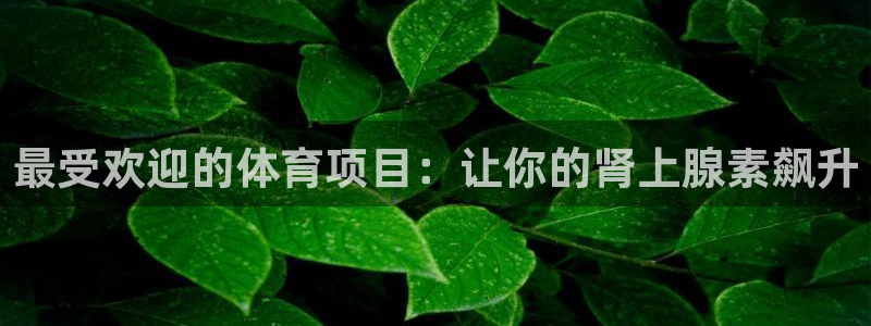 星奥娱乐怎么样知乎
