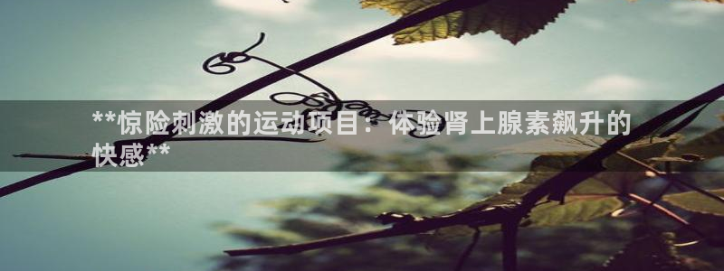 星欧娱乐扣款6II2是什么情况