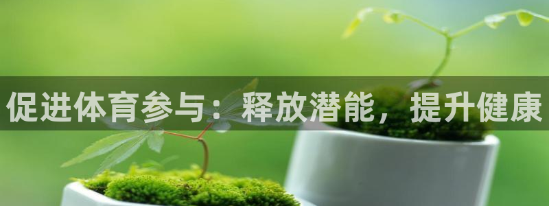 星澳娱乐公司简介