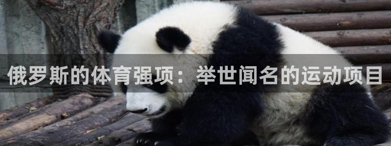 星欧娱乐平台怎么样啊可靠吗