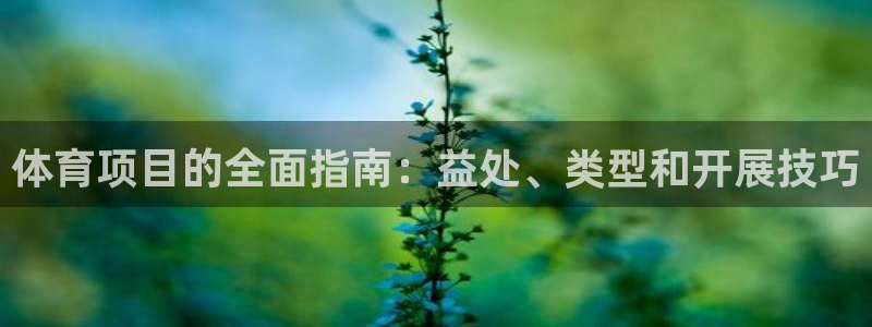 星欧娱乐平台怎么样可靠吗