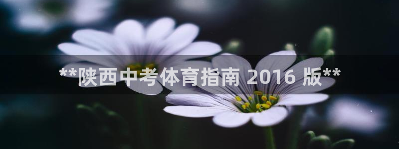 星欧娱乐是正规品牌吗