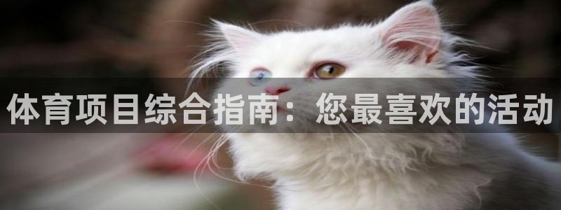 星娱乐是谁的公司