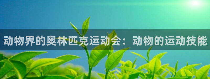 星欧娱乐平台怎么样啊安全吗