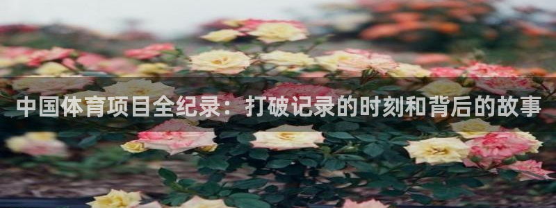 星欧娱乐挂机教程