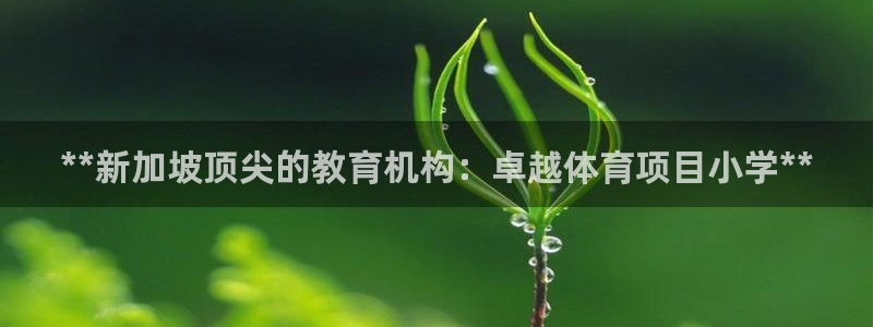 星欧娱乐是正规平台吗安全吗可靠吗